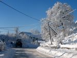 03-IMG 7871