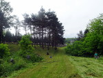 02 DSC02585
