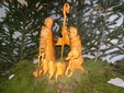12 DSC00546