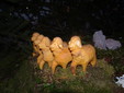 14 DSC00548