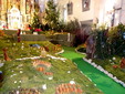18 DSC00552