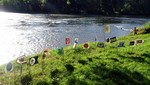 09 DSC06588